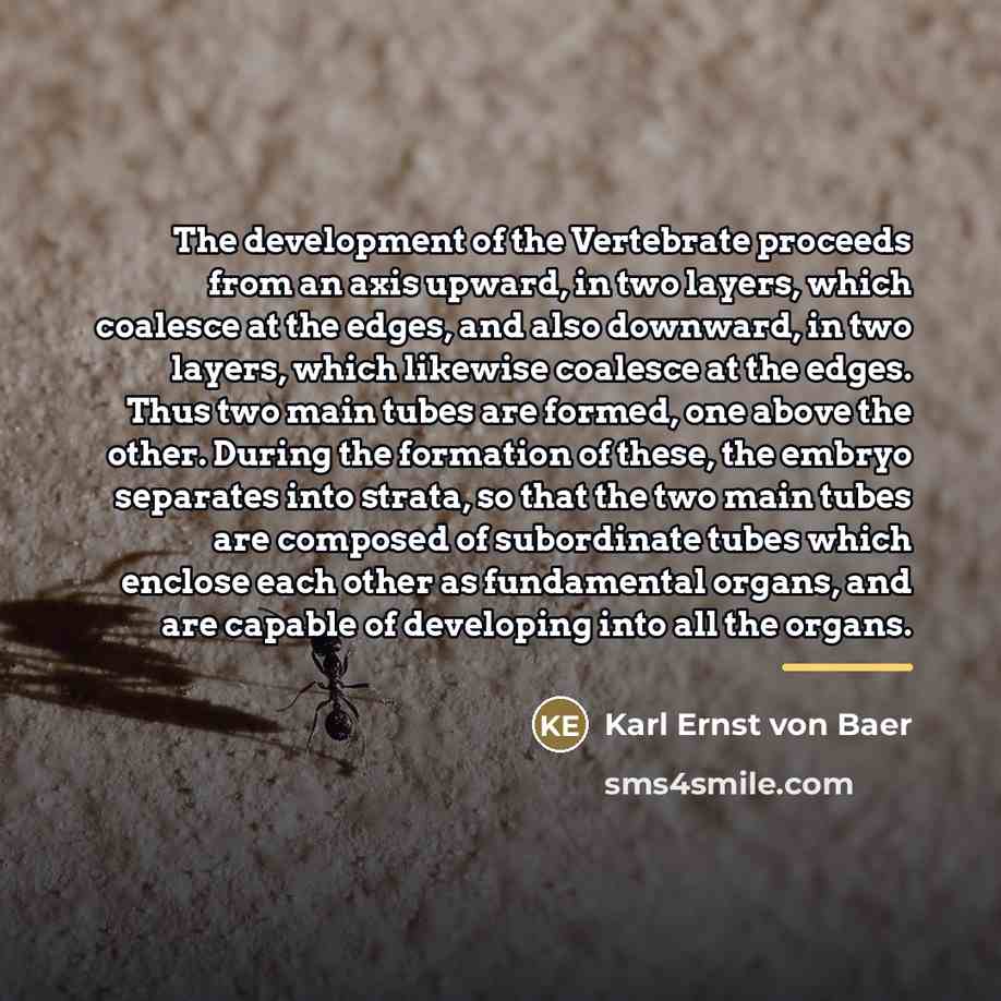 “The development of the Vertebrate proceeds from an axis upward,…” quote by Karl Ernst von Baer