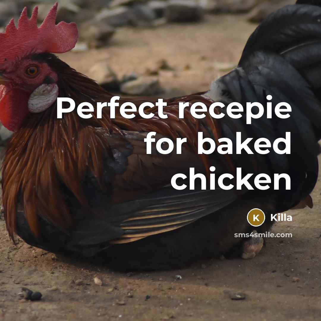 “Perfect recepie for baked chicken…” quote by Killa