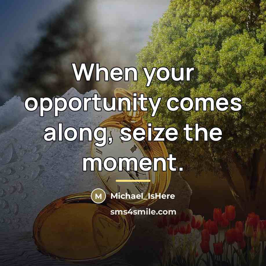 “When your opportunity comes along, seize the moment.…” quote by Michael_IsHere