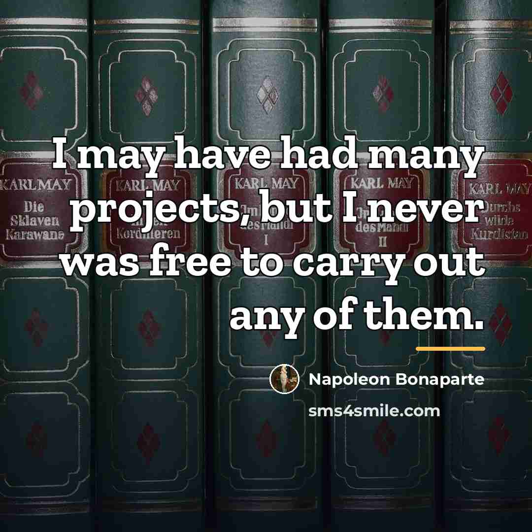 “I may have had many projects, but I never was…” quote by Napoleon Bonaparte