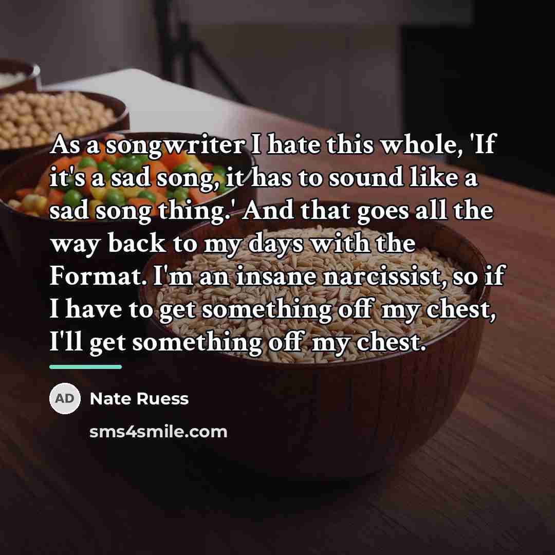 “As a songwriter I hate this whole, 'If it's a…” quote by Nate Ruess