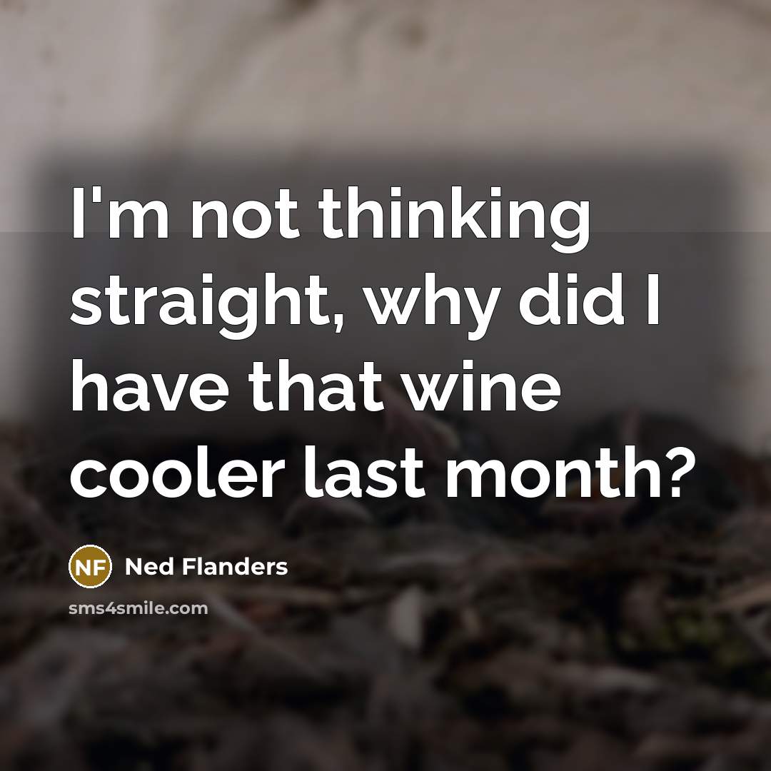 “I'm not thinking straight, why did I have that wine…” quote by Ned Flanders
