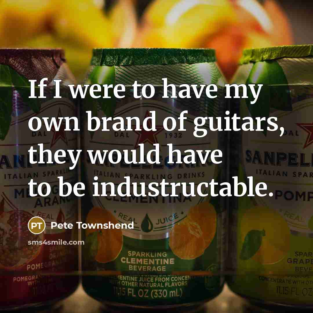 “If I were to have my own brand of guitars, they would have to be industructable.” quote by Pete Townshend