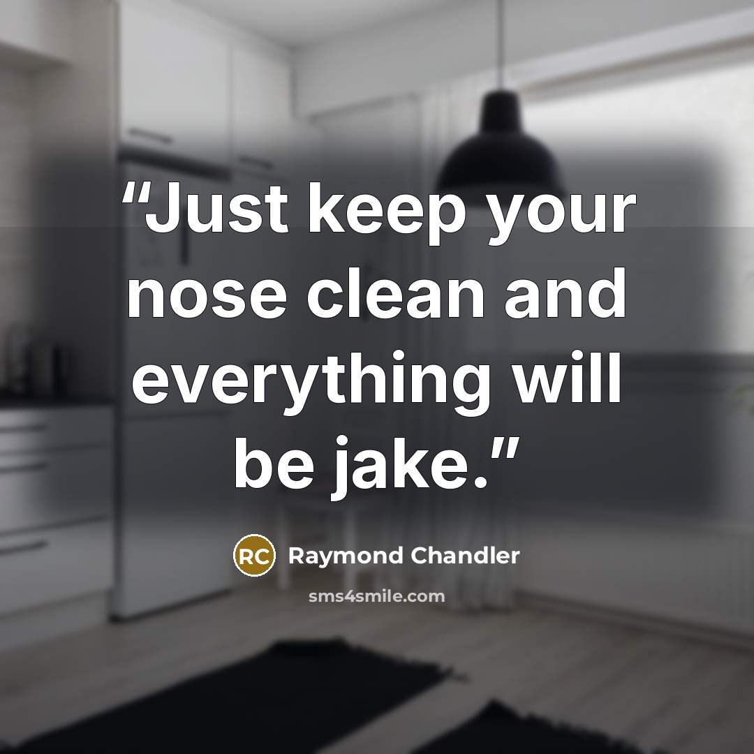 “Just keep your nose clean and everything will be jake.” quote by Raymond Chandler