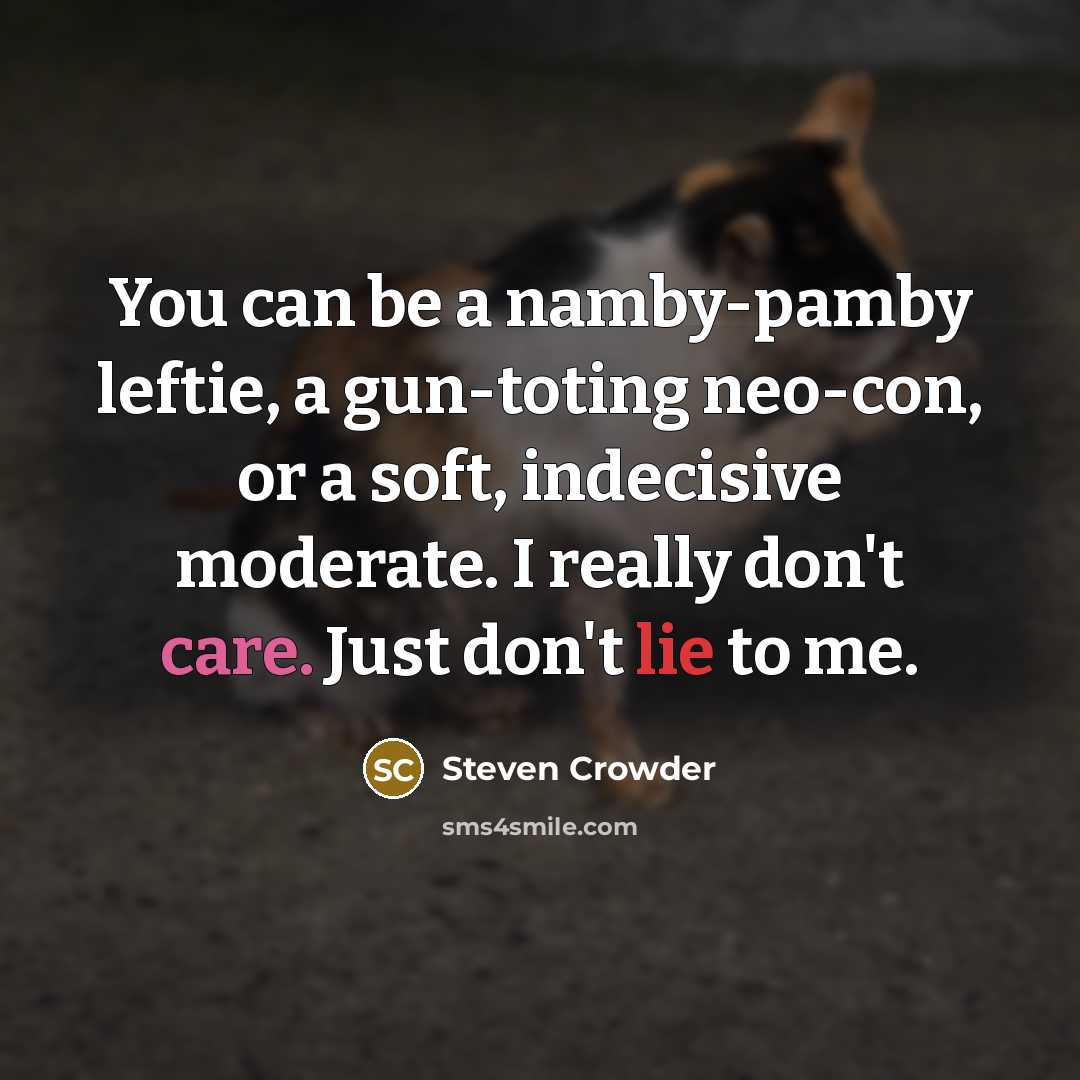“You can be a namby-pamby leftie, a gun-toting neo-con, or…” quote by Steven Crowder