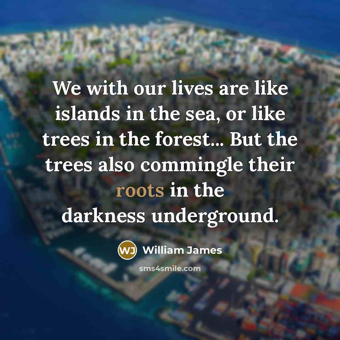 “We with our lives are like islands in the sea,…” quote by William James