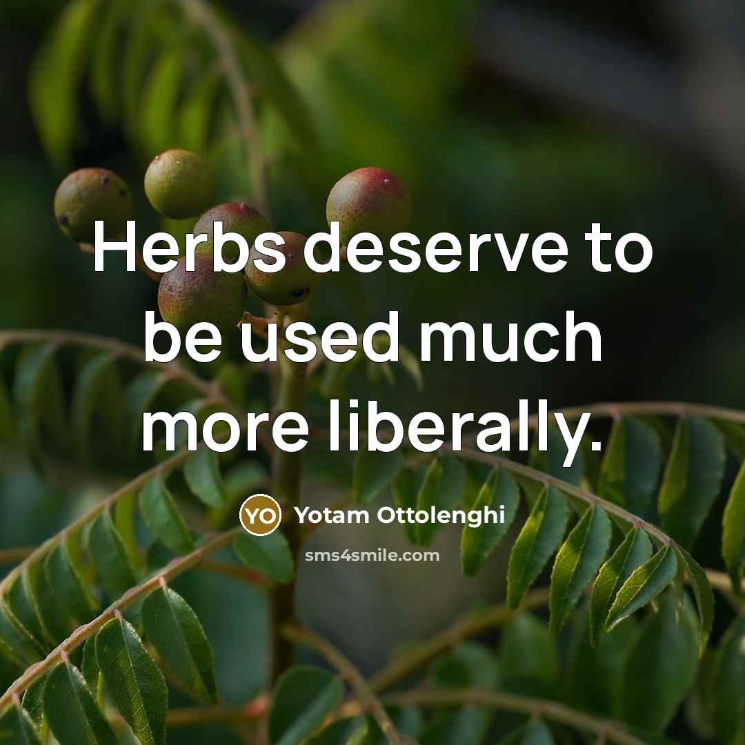 “Herbs deserve to be used much more liberally.…” quote by Yotam Ottolenghi