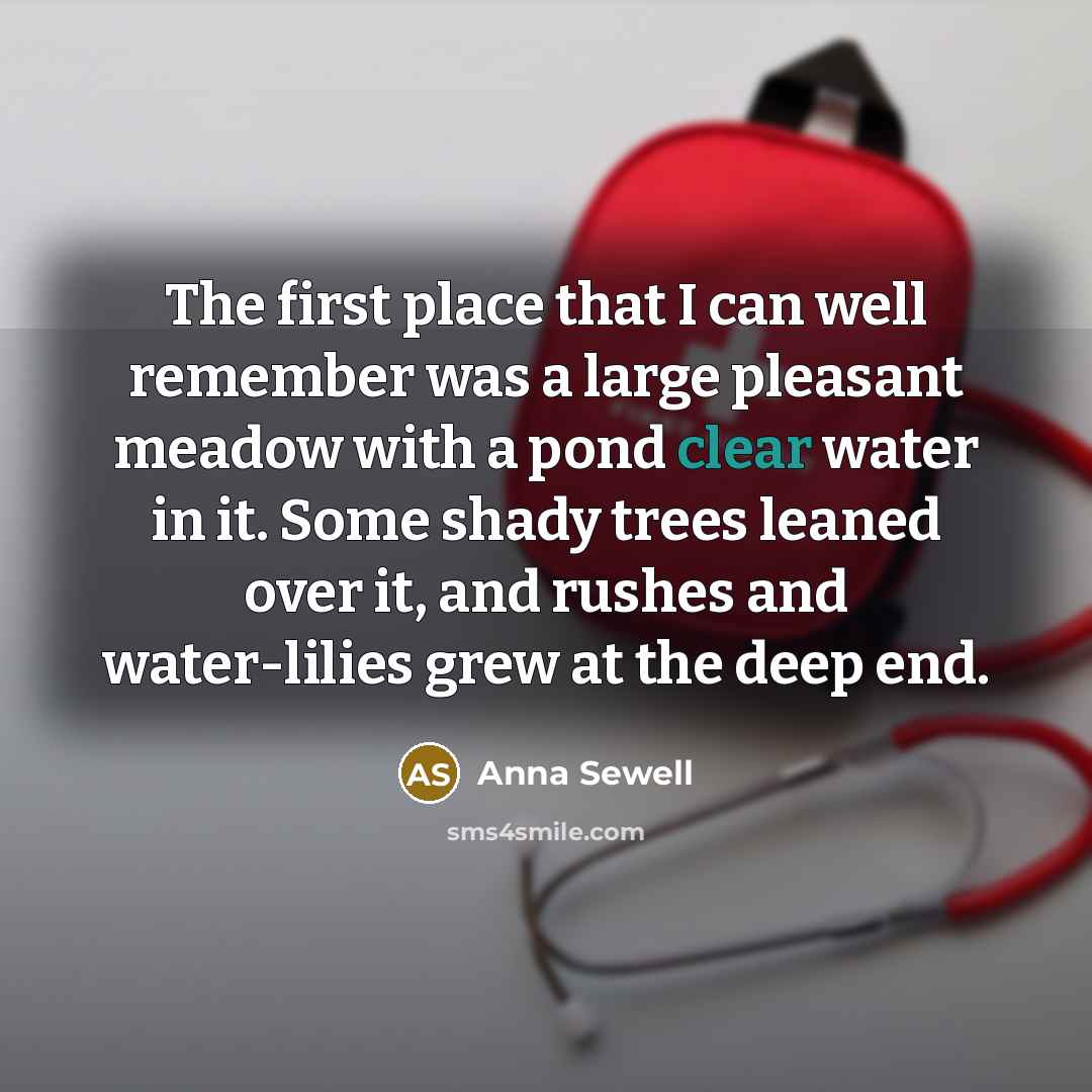 “The first place that I can well remember was a…” quote by Anna Sewell