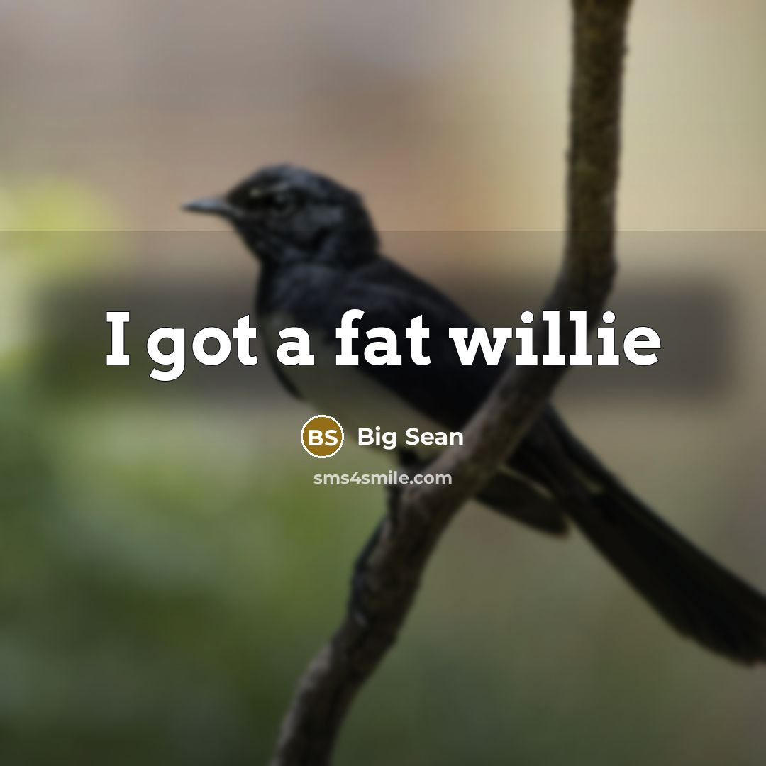 “I got a fat willie…” quote by Big Sean