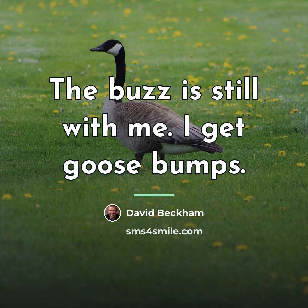 “The buzz is still with me. I get goose bumps.…” quote by David Beckham