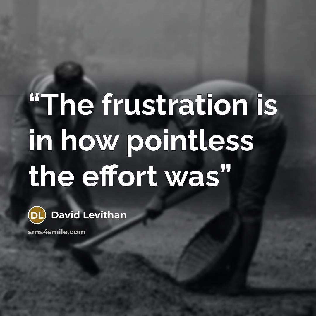 “The frustration is in how pointless the effort was” quote by David Levithan