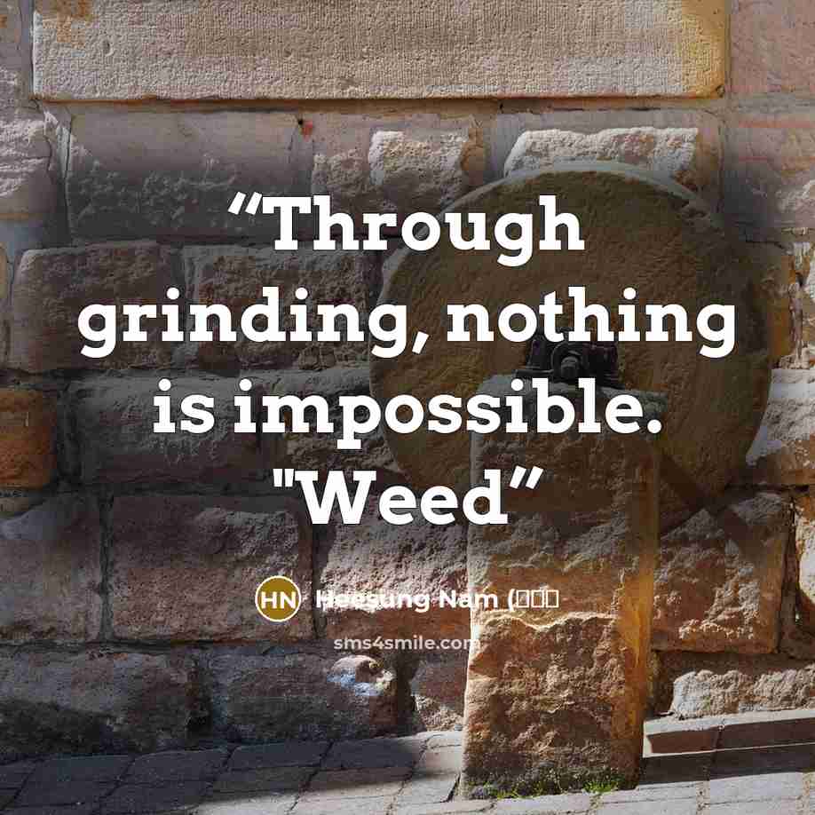 “Through grinding, nothing is impossible. "Weed” quote by Heesung Nam (남희성