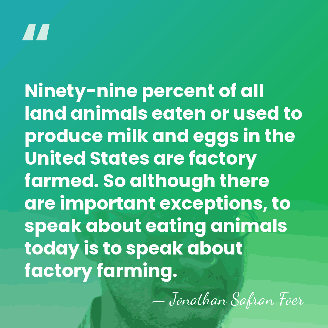 Ninety-nine percent of all land animals eaten or used to produce milk&hellip; - Jonathan Safran Foer