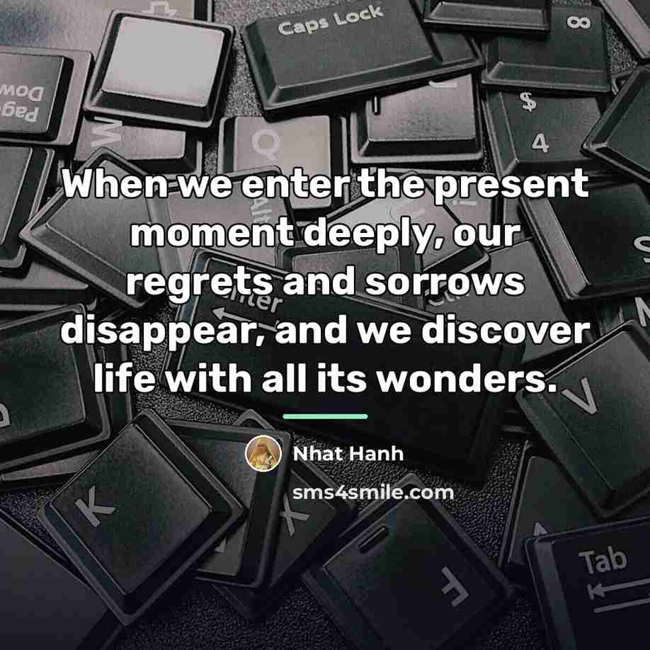 “When we enter the present moment deeply, our regrets and…” quote by Nhat Hanh