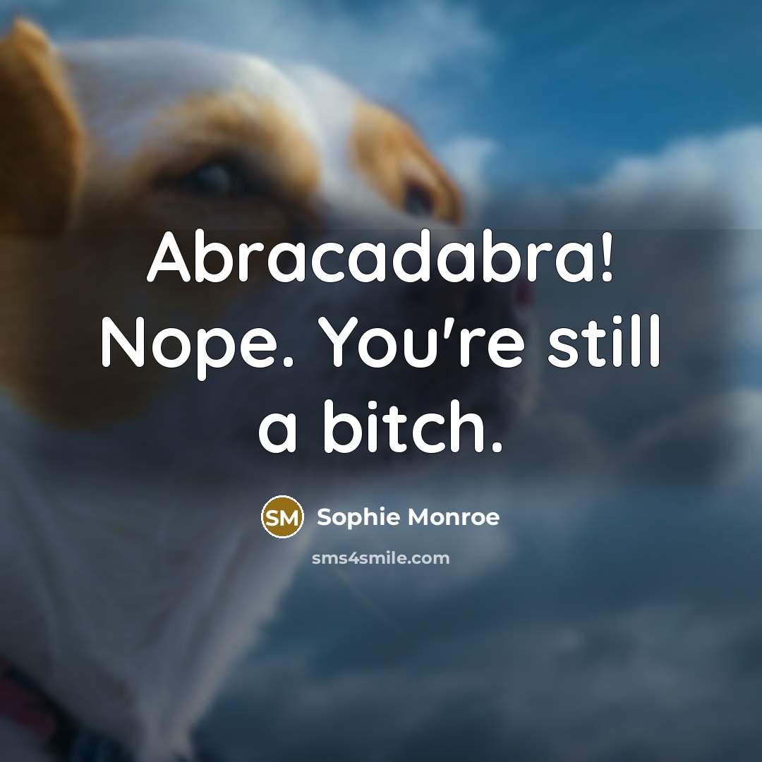 “Abracadabra! Nope. You're still a bitch.” quote by Sophie Monroe