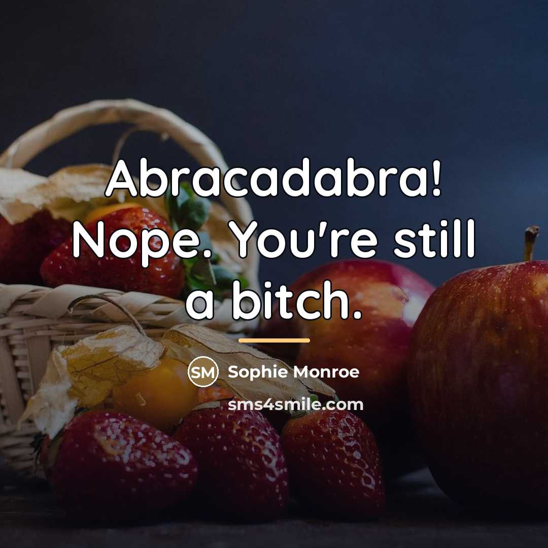 “Abracadabra! Nope. You're still a bitch.…” quote by Sophie Monroe