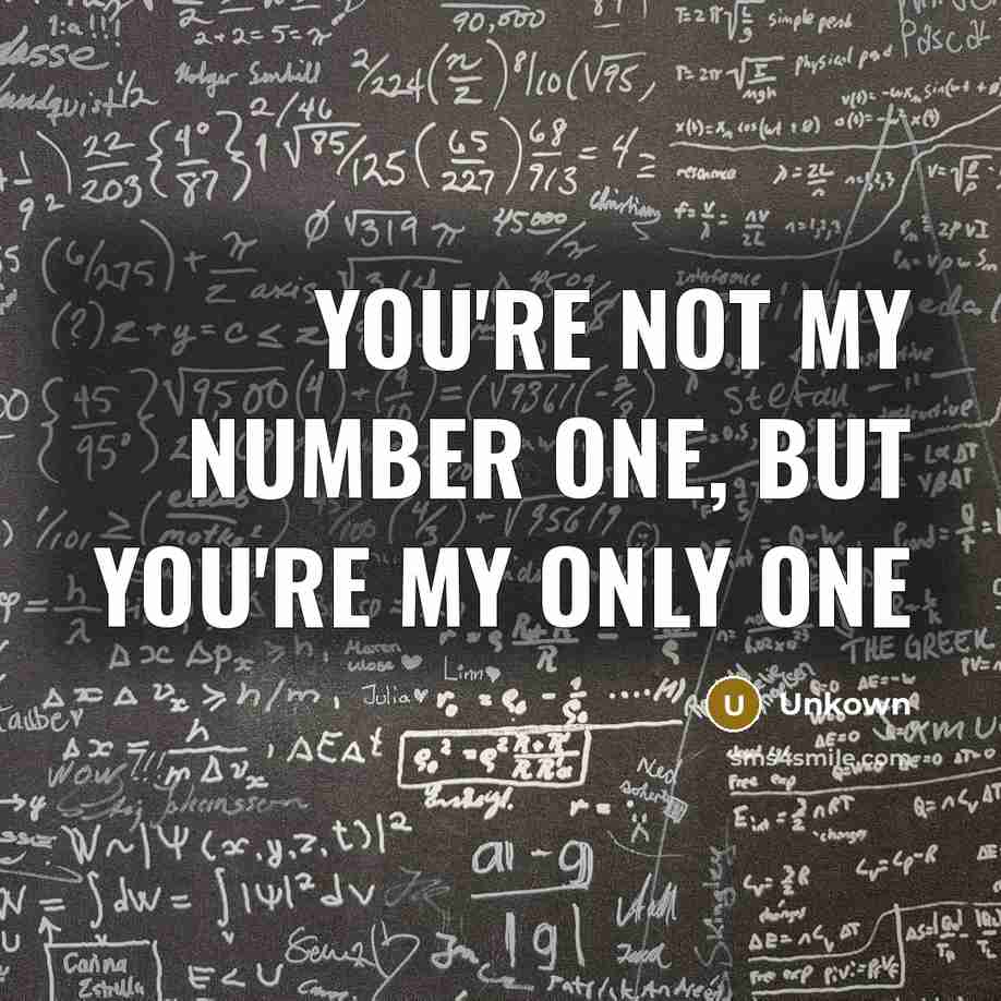 “You're not my number one, but you're my only one…” quote by Unkown