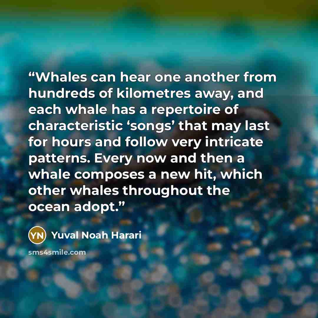 “Whales can hear one another from hundreds of kilometres away, and each whale has a repertoire of characteristic ‘songs’ that may last for hours and follow very intricate patterns. Every now and then a whale composes a new hit, which other whales throughout the ocean adopt.” quote by Yuval Noah Harari