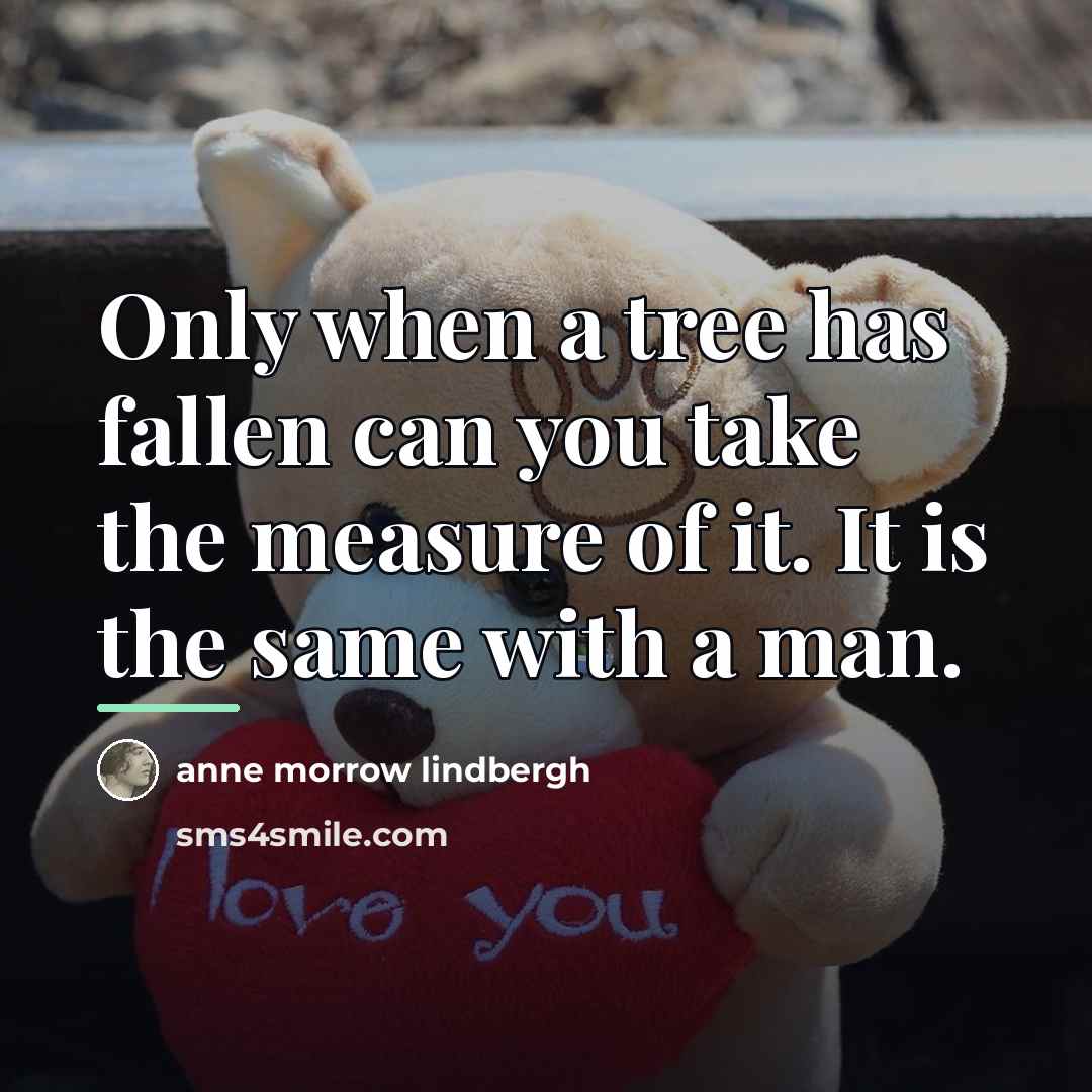 “Only when a tree has fallen can you take the…” quote by Anne Morrow Lindbergh