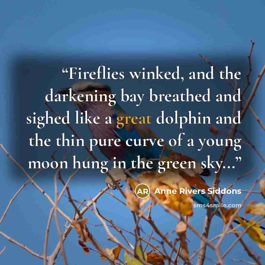 “Fireflies winked, and the darkening bay breathed and sighed like a great dolphin and the thin pure curve of a young moon hung in the green sky...” quote by Anne Rivers Siddons