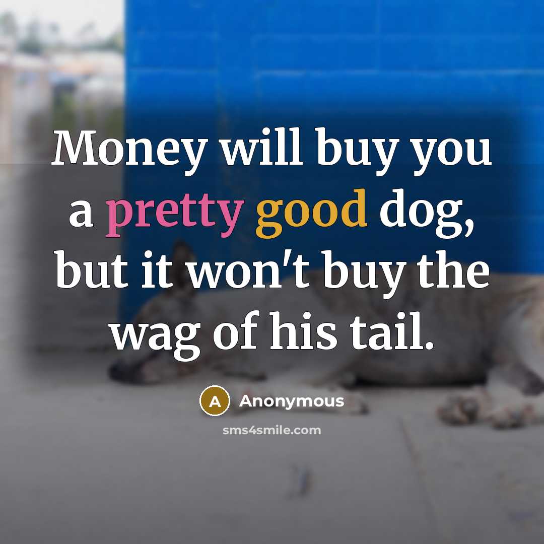 “Money will buy you a pretty good dog, but it won't buy the wag of his tail.” quote by Anonymous