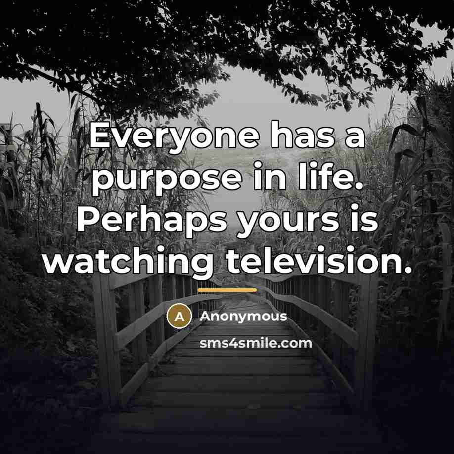“Everyone has a purpose in life. Perhaps yours is watching…” quote by Anonymous