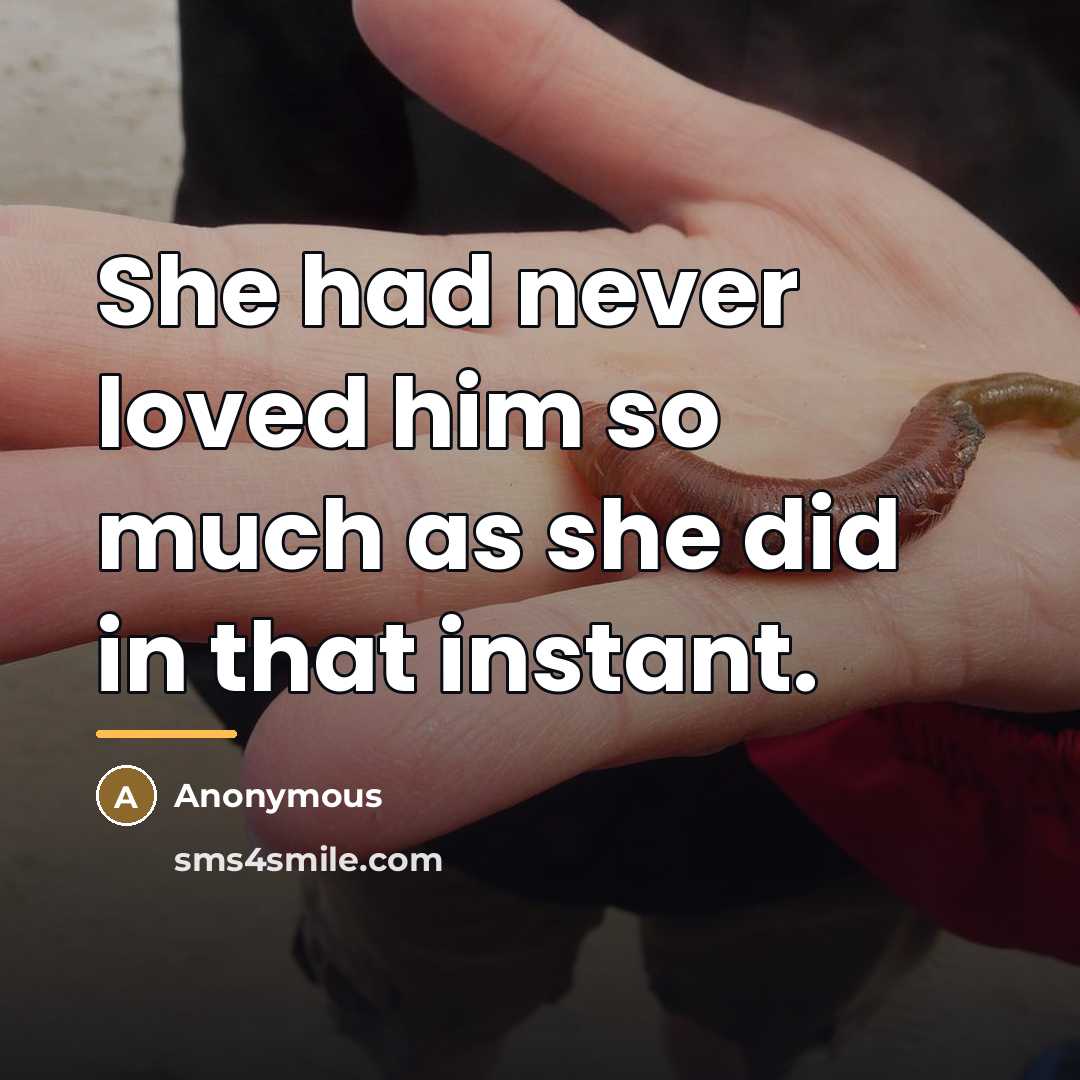 “She had never loved him so much as she did…” quote by Anonymous