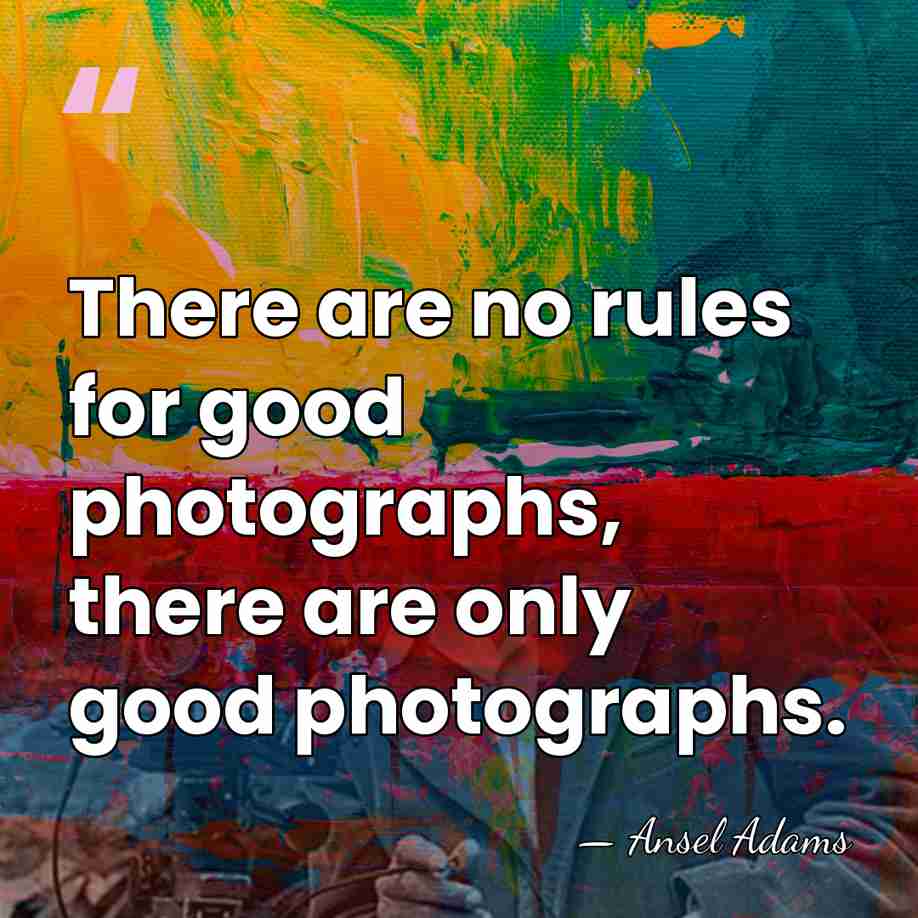 There are no rules for good photographs, there are only good photographs. - Ansel Adams