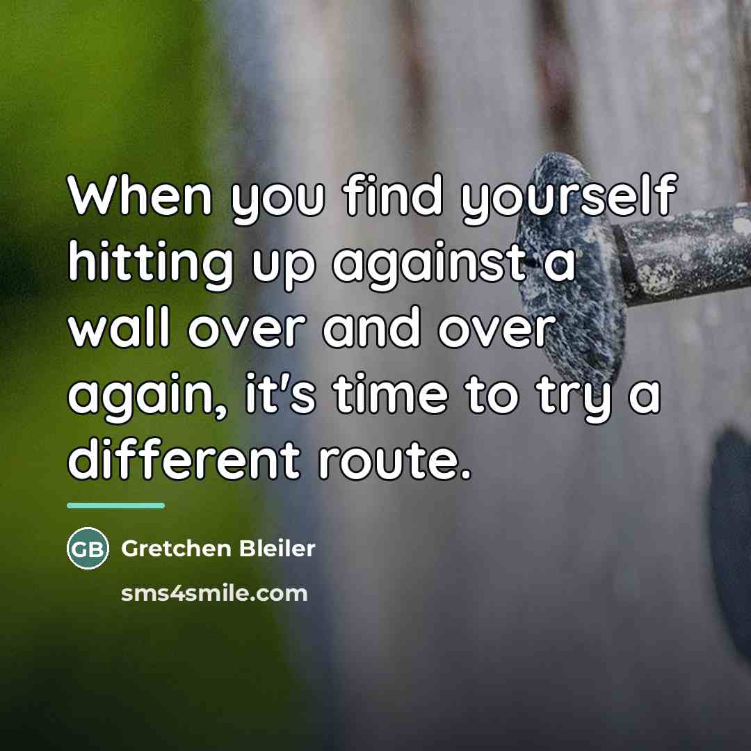 “When you find yourself hitting up against a wall over…” quote by Gretchen Bleiler