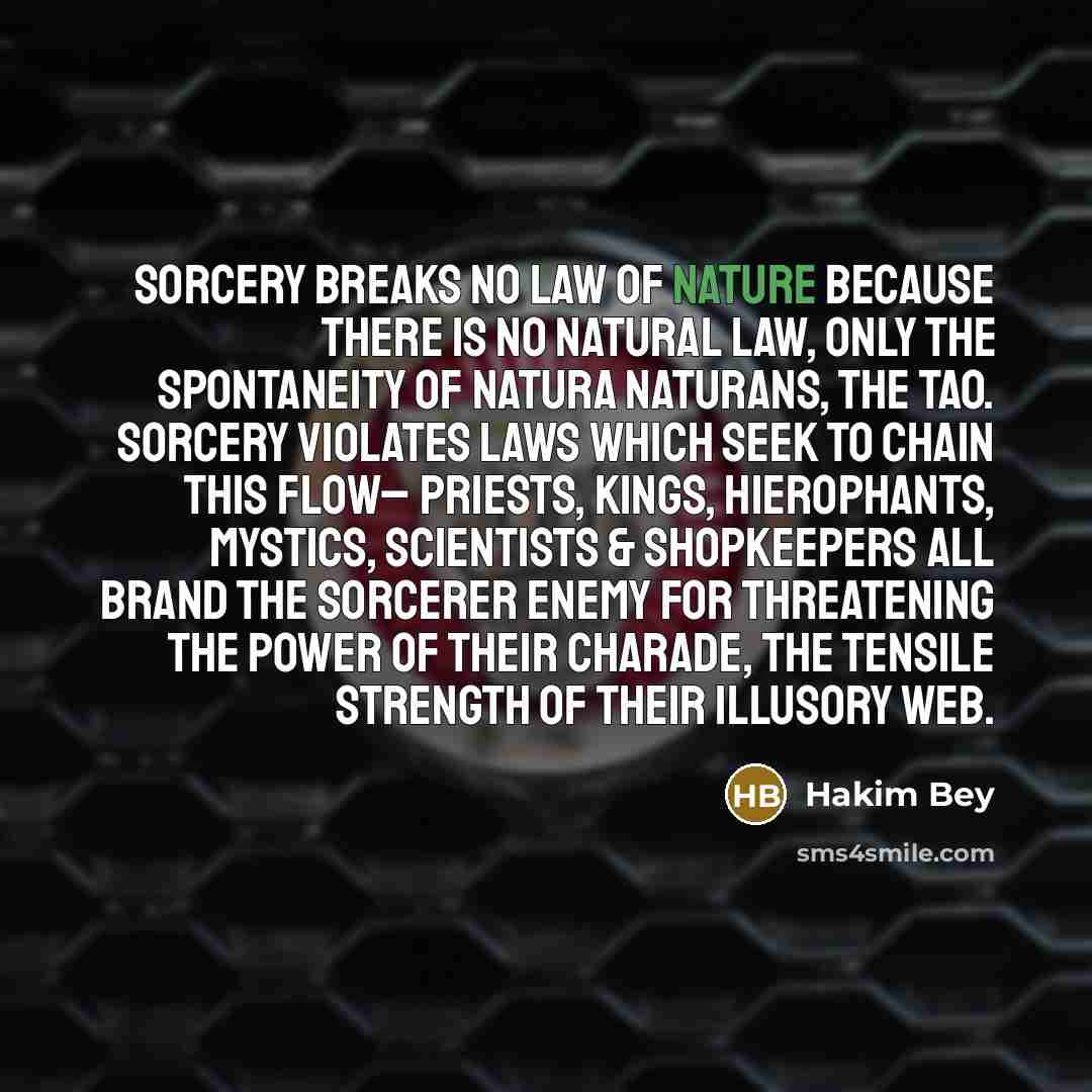“Sorcery breaks no law of nature because there is no…” quote by Hakim Bey