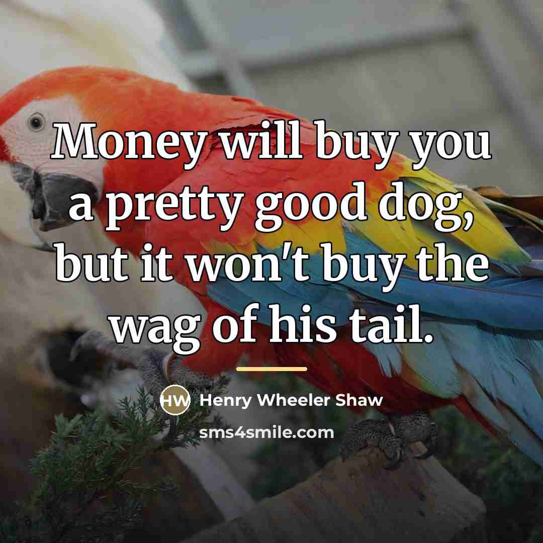 “Money will buy you a pretty good dog, but it…” quote by Anonymous