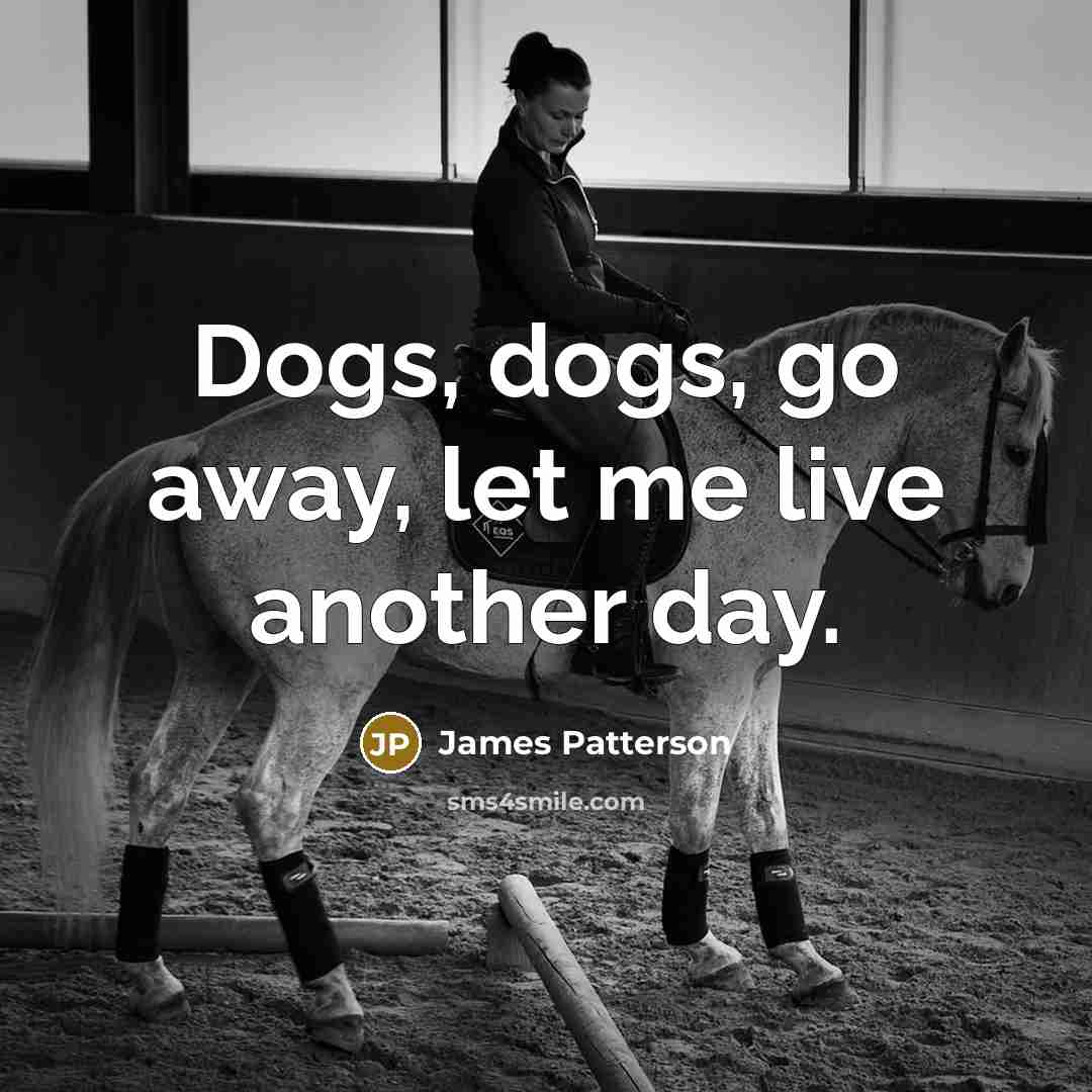 “Dogs, dogs, go away, let me live another day.…” quote by James Patterson