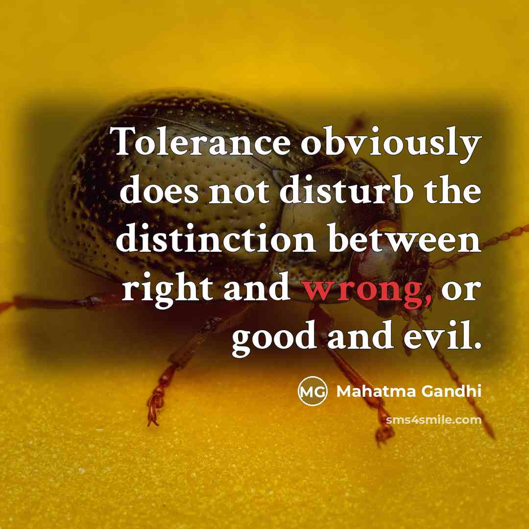 “Tolerance obviously does not disturb the distinction between right and…” quote by Mahatma Gandhi