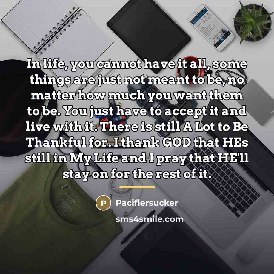 “In life, you cannot have it all, some things are…” quote by Pacifiersucker