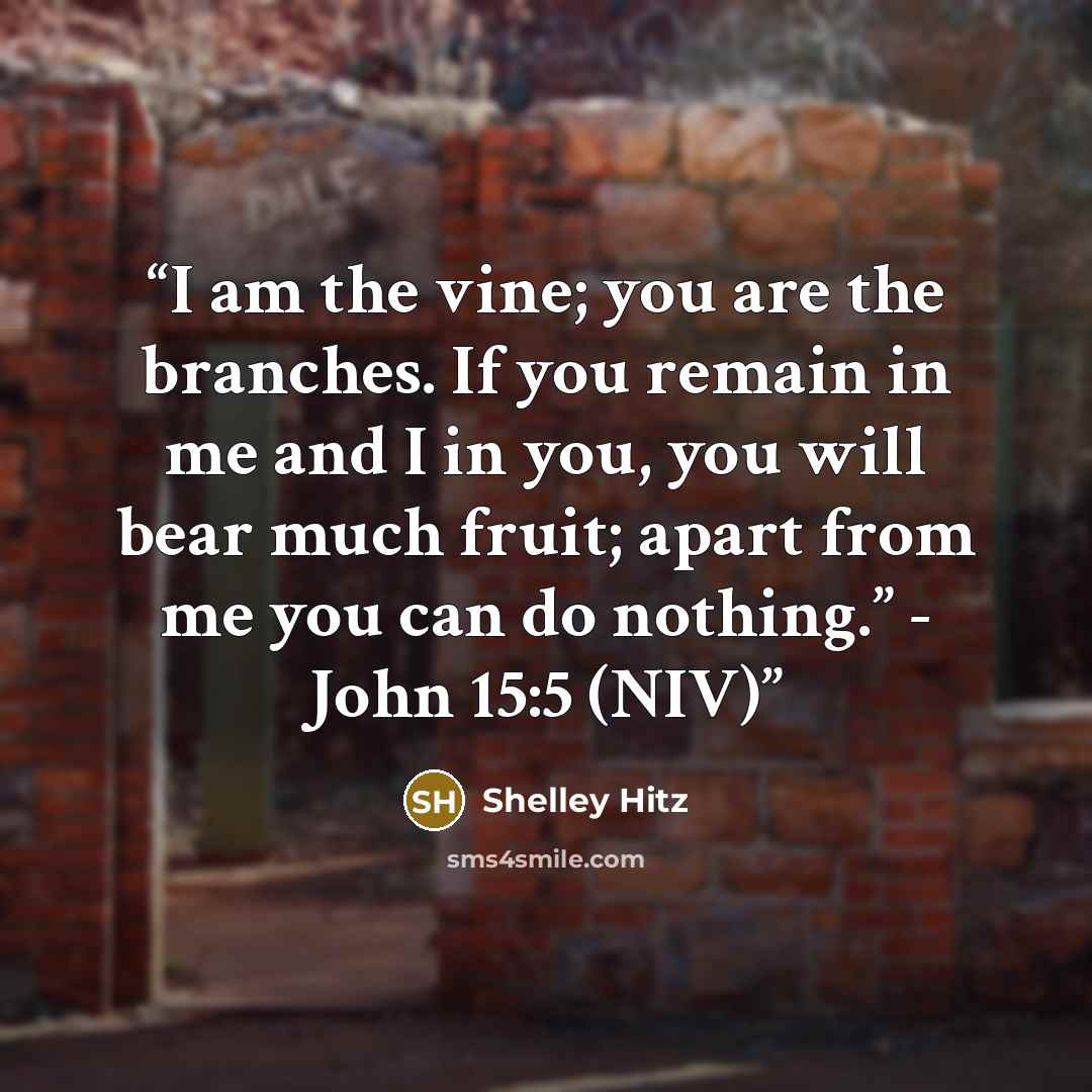 “I am the vine; you are the branches. If you remain in me and I in you, you will bear much fruit; apart from me you can do nothing.” - John 15:5 (NIV)” quote by Shelley Hitz