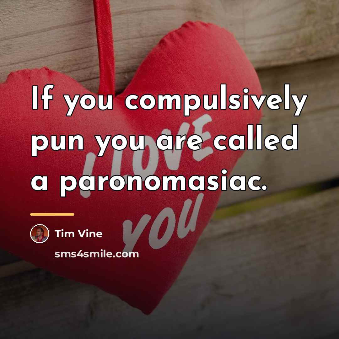 “If you compulsively pun you are called a paronomasiac.…” quote by Tim Vine