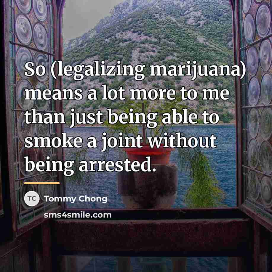 “So (legalizing marijuana) means a lot more to me than…” quote by Tommy Chong