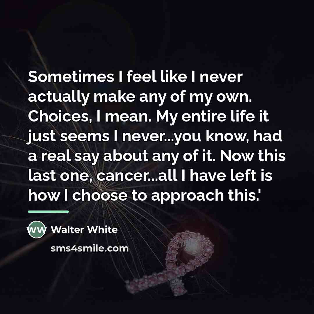 “Sometimes I feel like I never actually make any of…” quote by Walter White