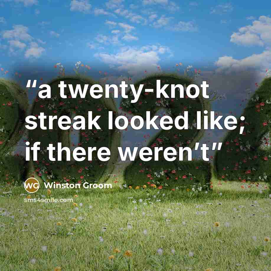 “a twenty-knot streak looked like; if there weren’t” quote by Winston Groom