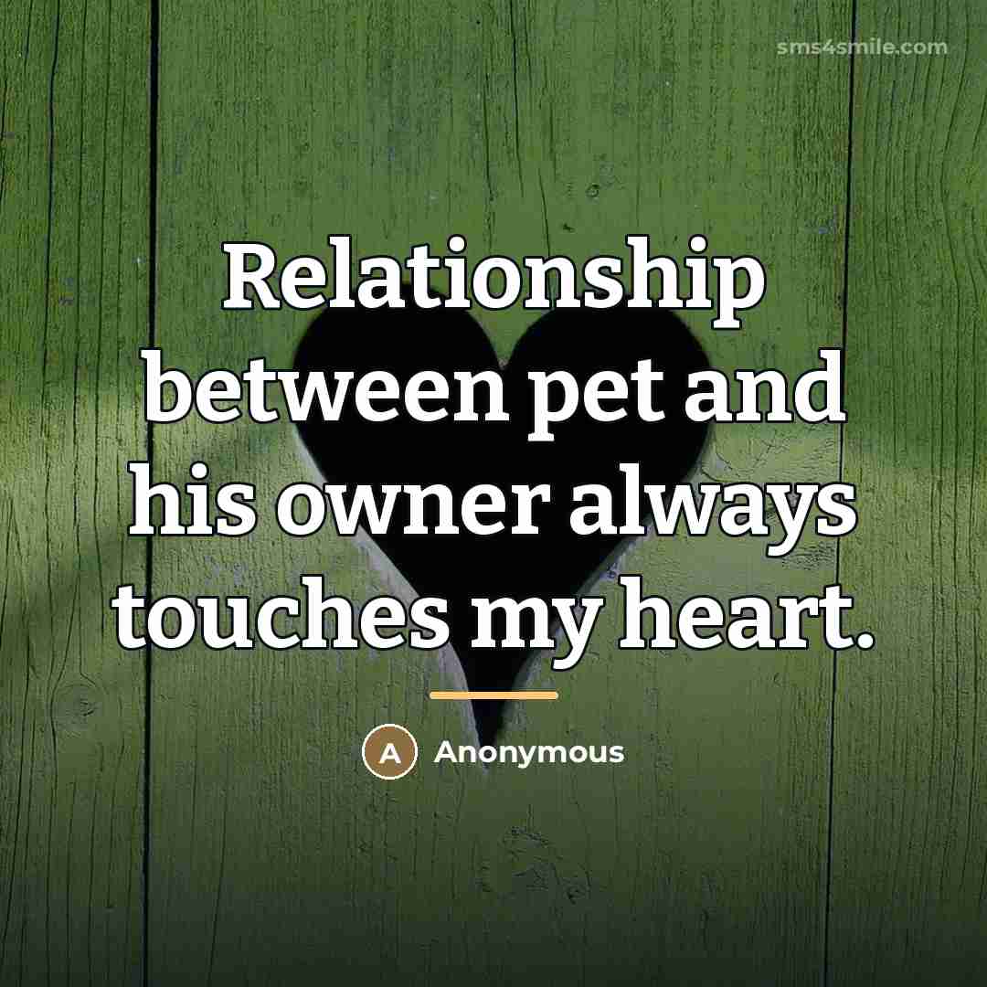 “Relationship between pet and his owner always touches my heart.…” quote by Anonymous