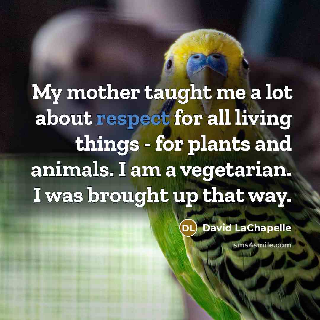 “My mother taught me a lot about respect for all…” quote by David LaChapelle