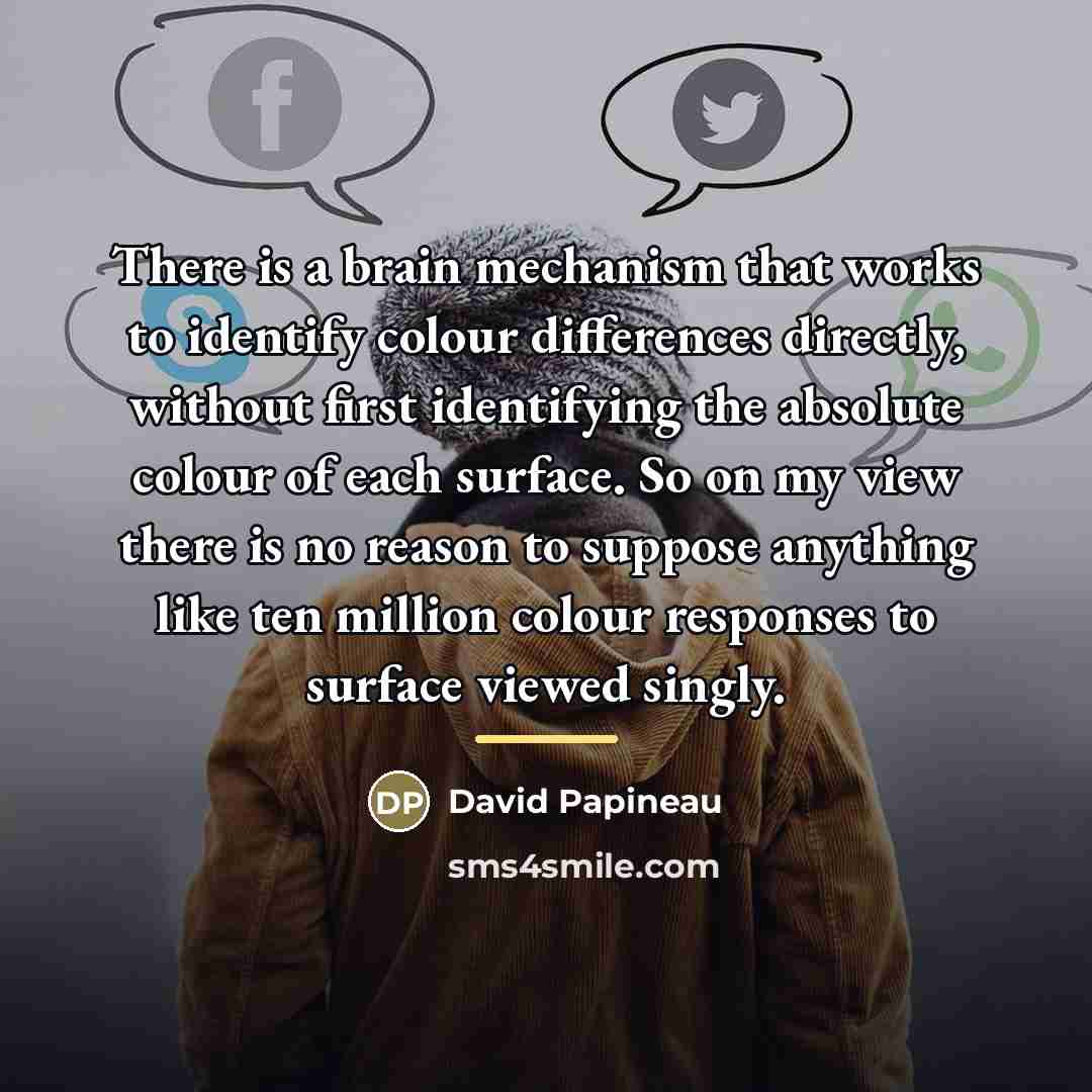 “There is a brain mechanism that works to identify colour…” quote by David Papineau