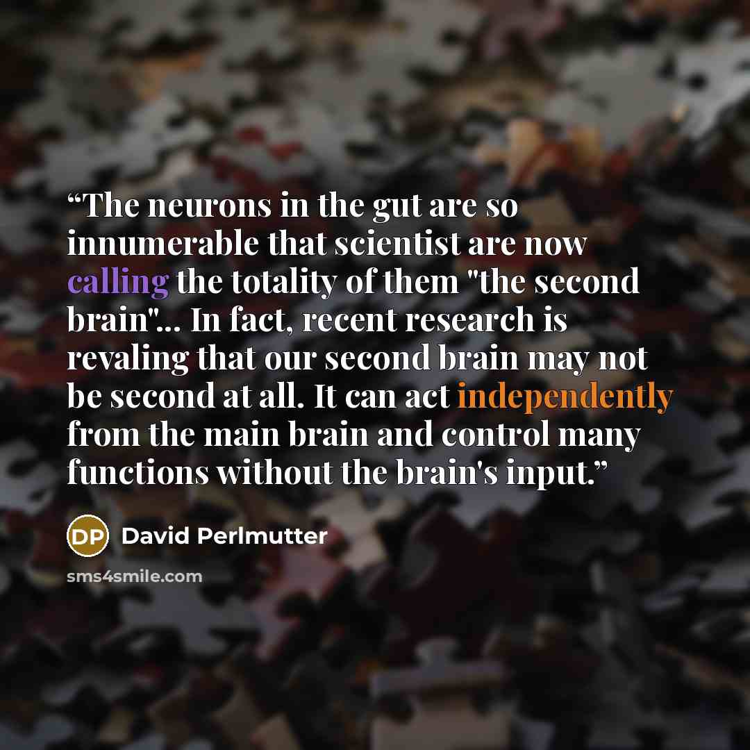 “The neurons in the gut are so innumerable that scientist are now calling the totality of them "the second brain"... In fact, recent research is revaling that our second brain may not be second at all. It can act independently from the main brain and control many functions without the brain's input.” quote by David Perlmutter
