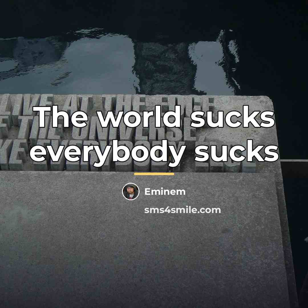 “The world sucks everybody sucks…” quote by Eminem