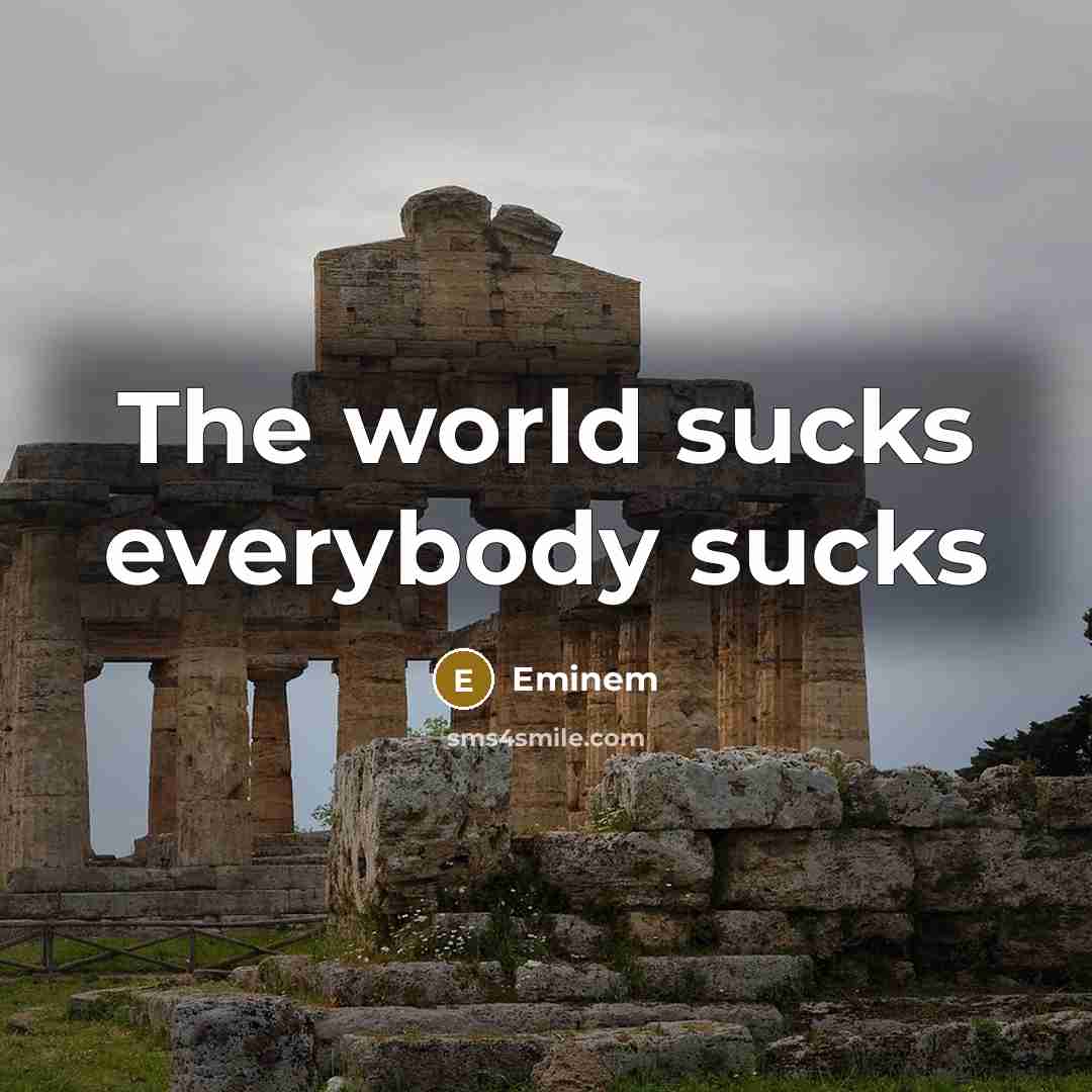 “The world sucks everybody sucks” quote by Eminem