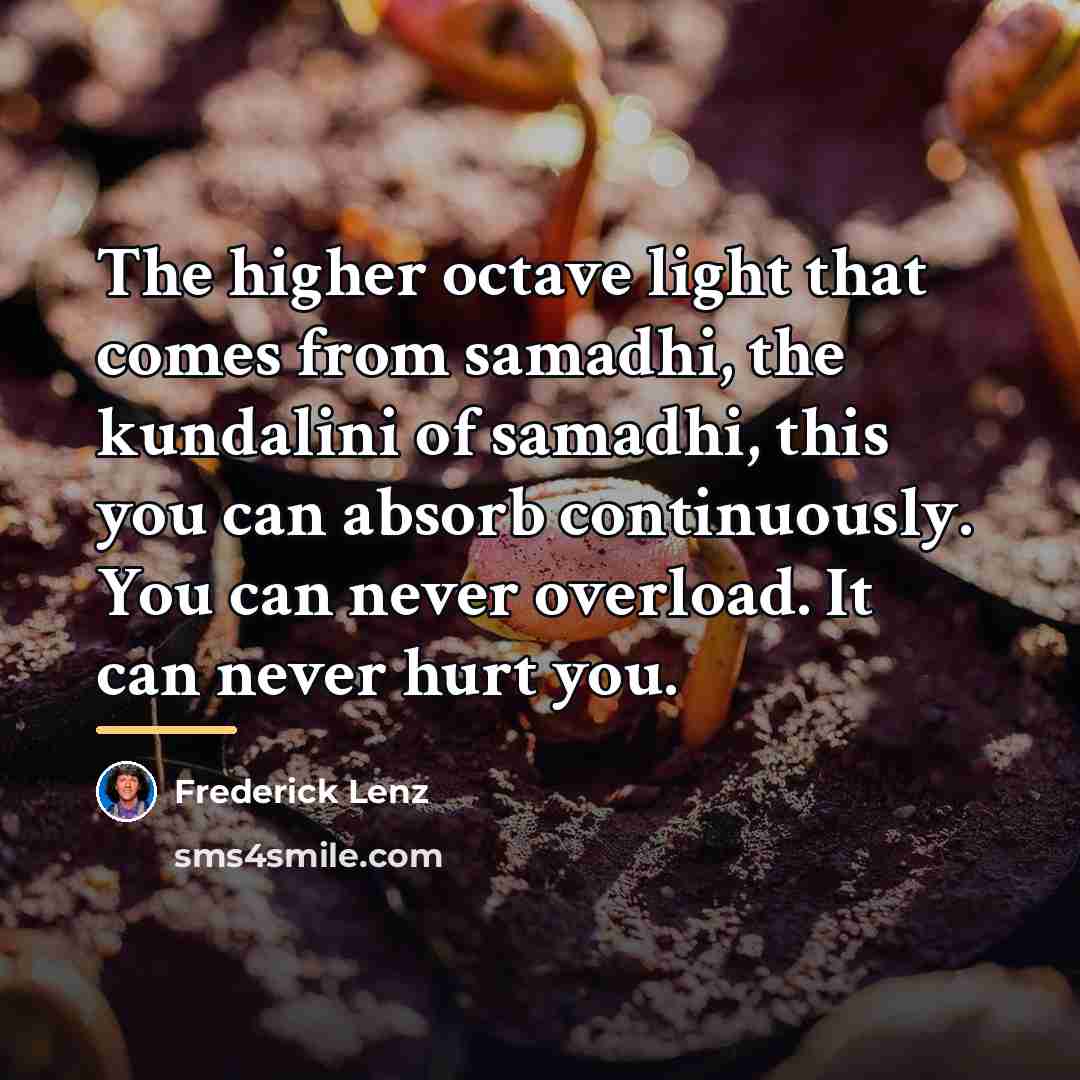 “The higher octave light that comes from samadhi, the kundalini…” quote by Frederick Lenz