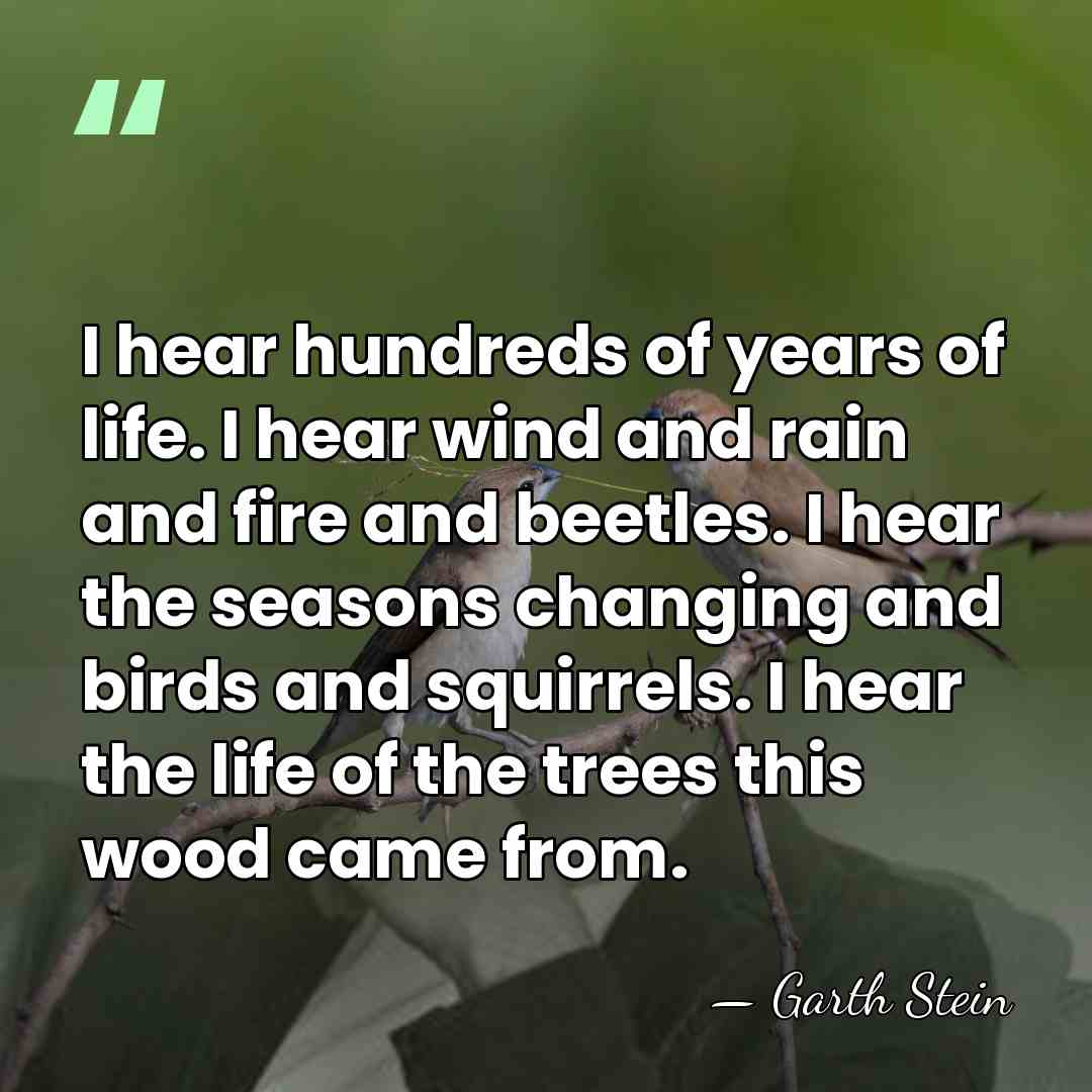 I hear hundreds of years of life. I hear wind and rain&hellip; - Garth Stein