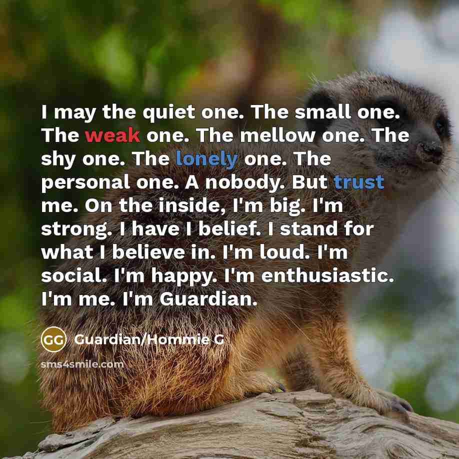 “I may the quiet one. The small one. The weak…” quote by Guardian/Hommie G
