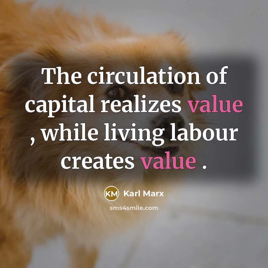 “The circulation of capital realizes value , while living labour…” quote by Karl Marx