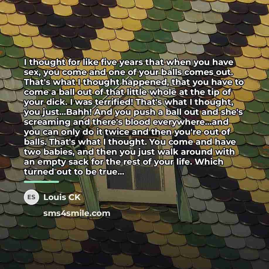 “I thought for like five years that when you have…” quote by Louis CK